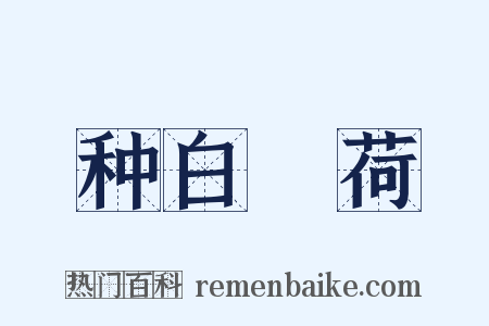 种白蘘荷是什么意思的图片
